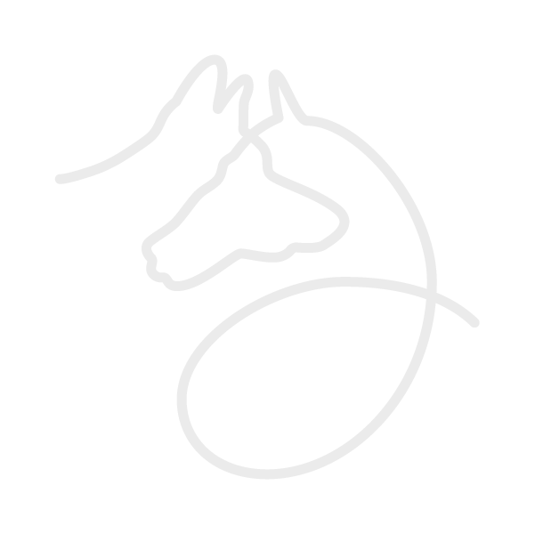 Logo Lillion ostéopathie animale cheval chien